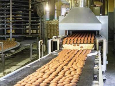 biscuit manufacturing